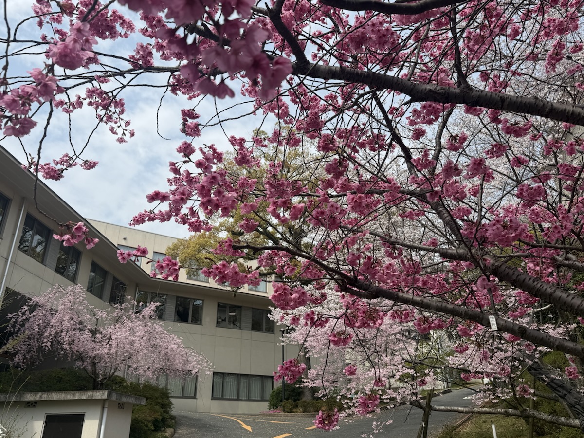 光風園病院さんを訪問しました