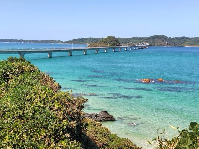 遠出のチャンス！